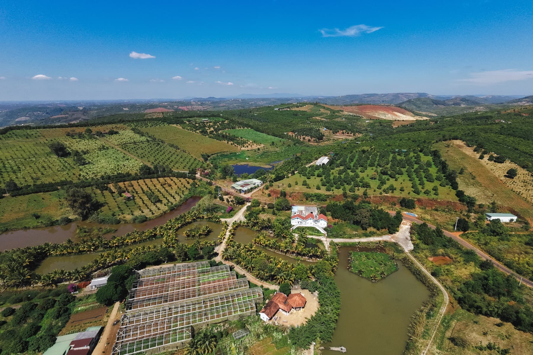 Growing area or export shipment photo, landscape · 21:9