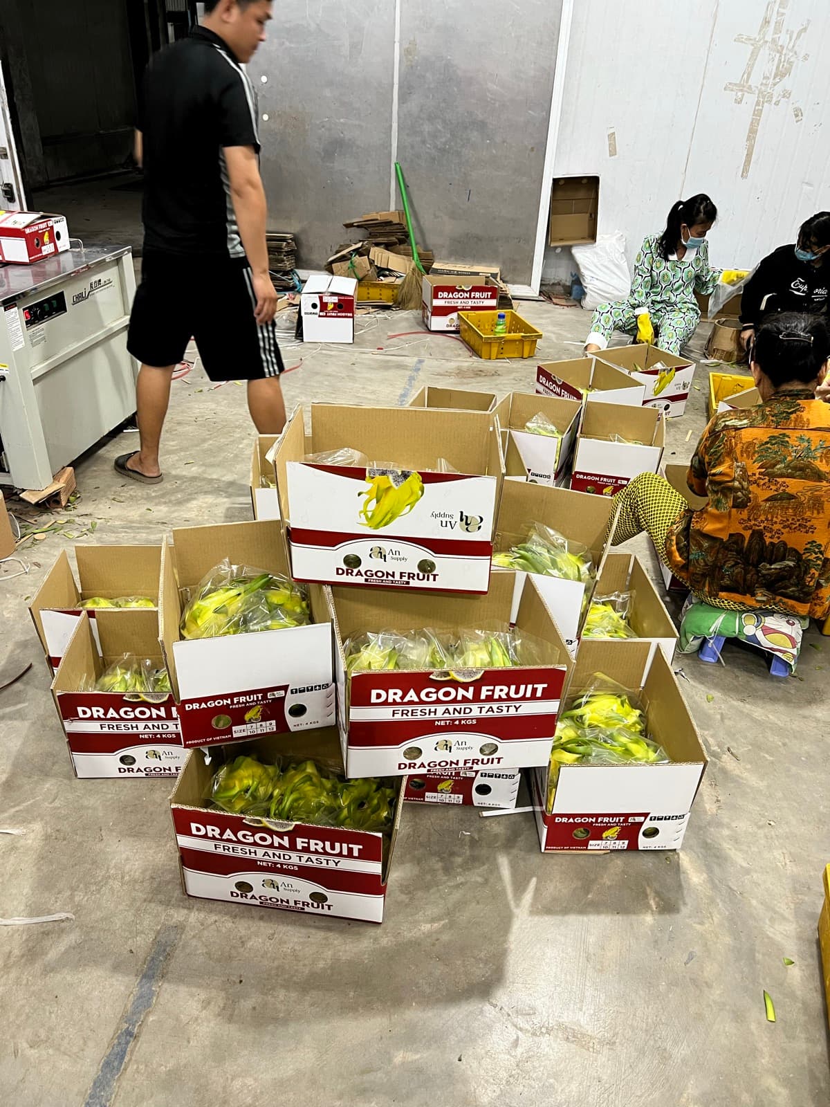 Photo of dragon fruit and mango at a packing house · 4:3